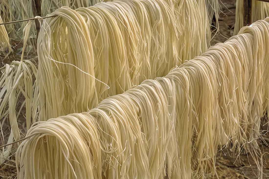 Wood fibre